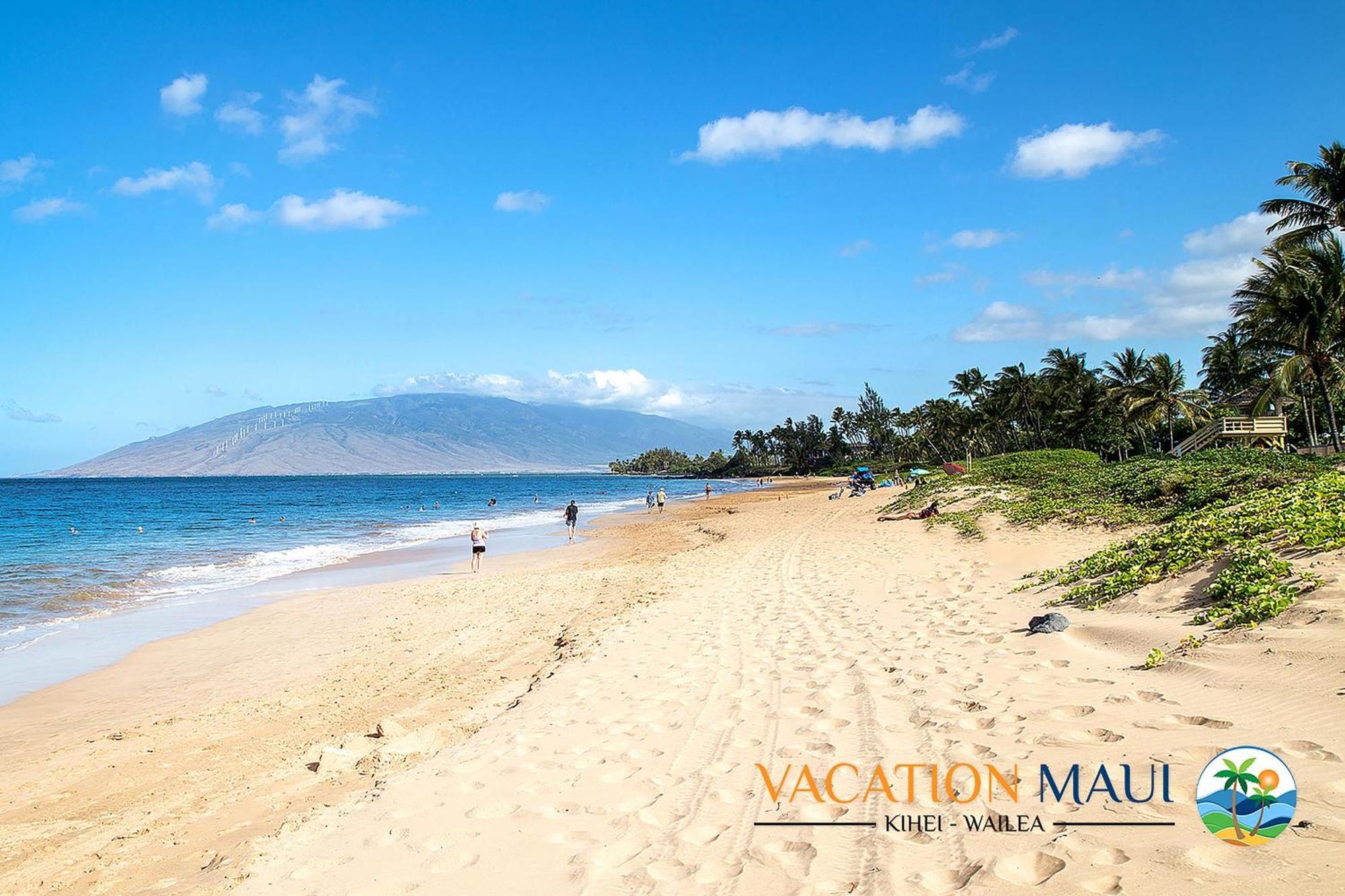 Maui Vista 3-102 - Near Great Snorkeling Beach Kihei Eksteriør billede